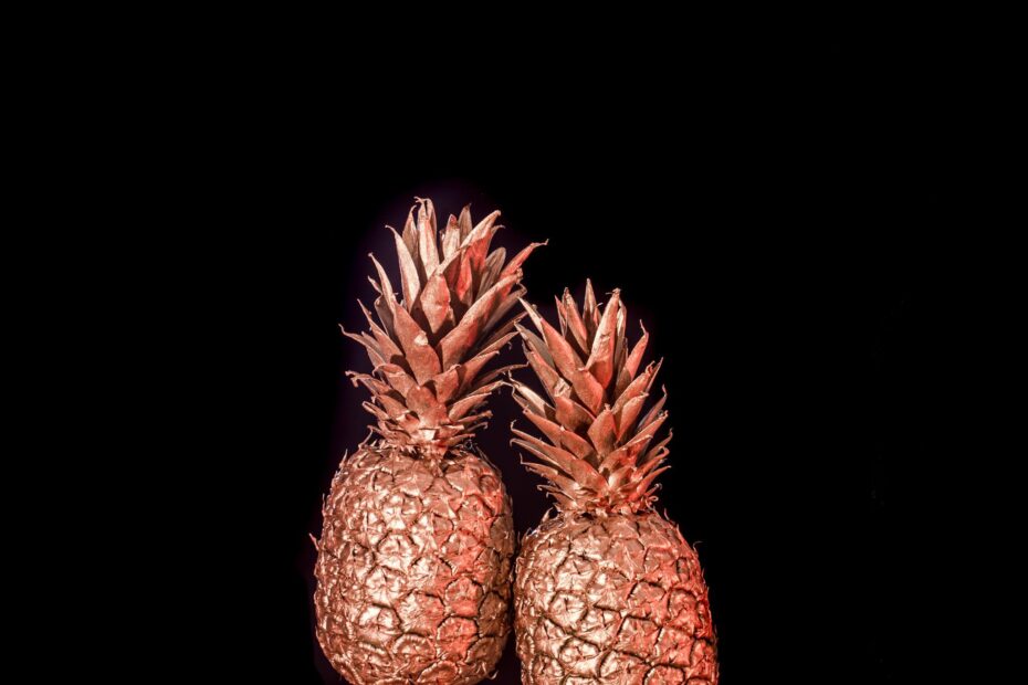 PineappleXXclusive illustration representing soft swap vs full swap in the swinger lifestyle